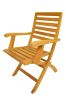 Andrew Folding Armchair (sell & price per 2 chairs only)