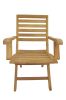 Andrew Folding Armchair (sell & price per 2 chairs only)